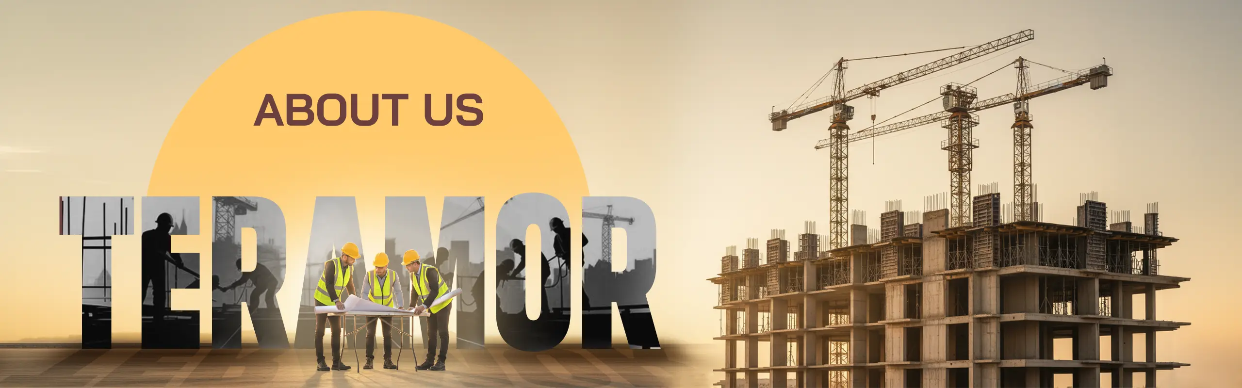 About Teramor Real Estate Developer Hyderabad - Company Overview